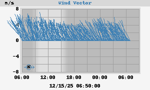 Wind Vector